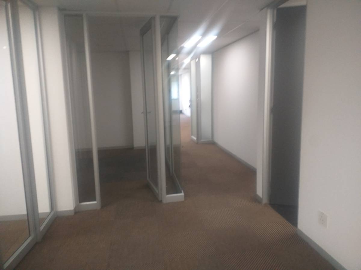 Gallery Frame