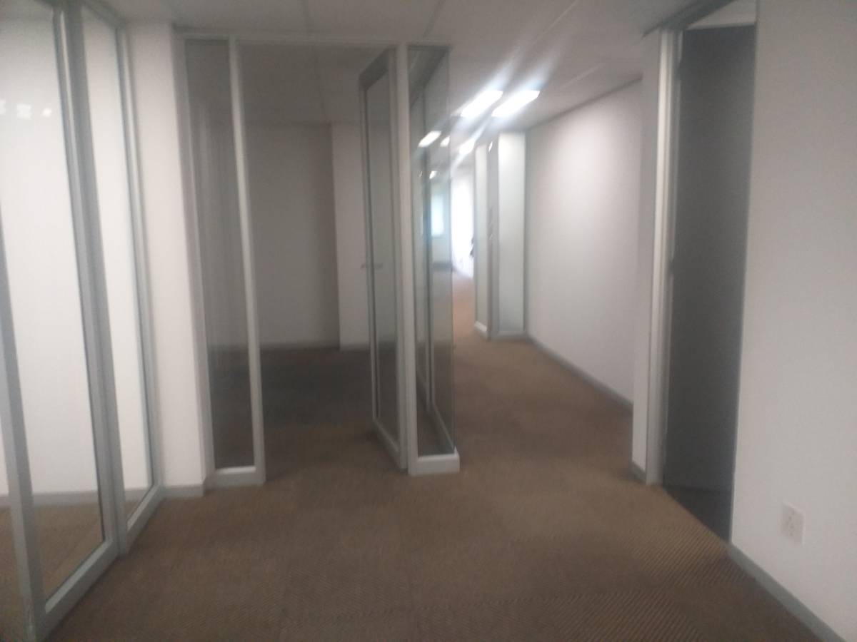 Gallery Frame